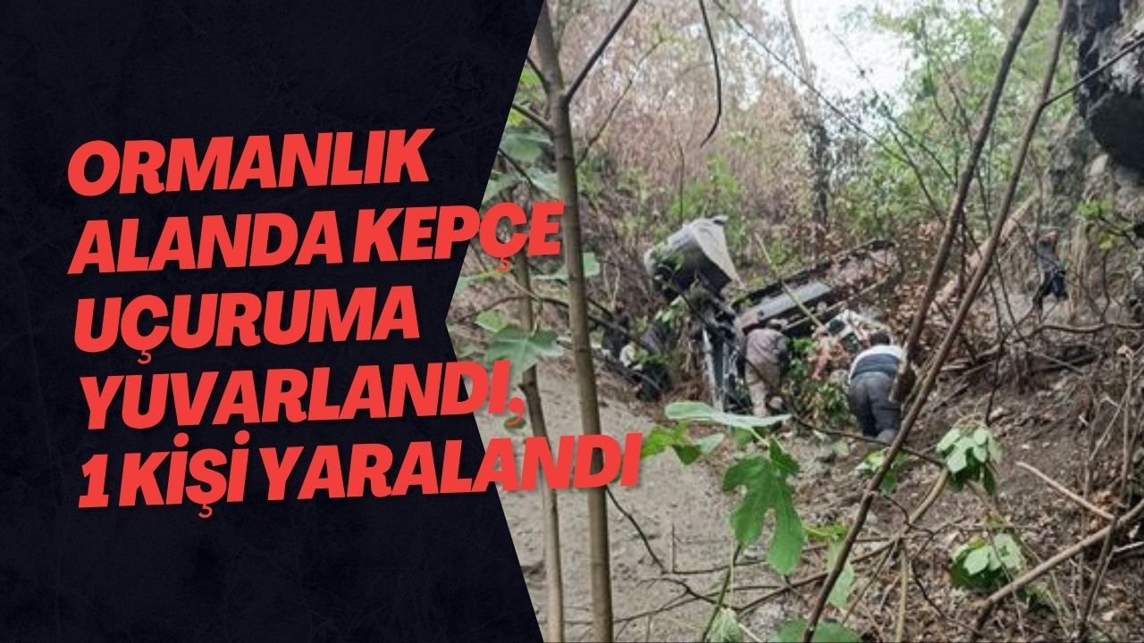 Ormanlık Alanda Kepçe Uçuruma Yuvarlandı, 1 Kişi Yaralandı