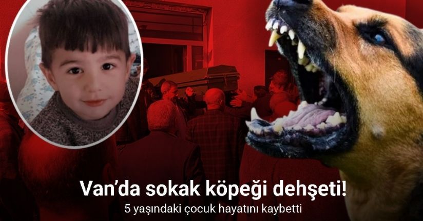 Van’da köpeklerin saldırdığı 5 yaşındaki çocuk hayatını kaybetti