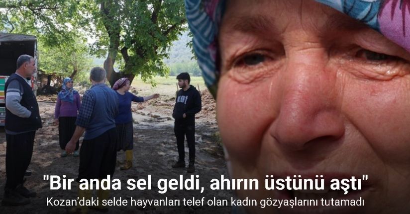 Kozan’daki selde hayvanları telef olan kadın: 