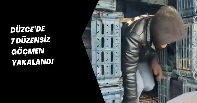 Düzce'de 7 düzensiz göçmen yakalandı