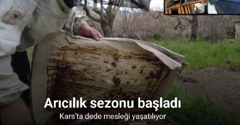 Kars’ta dede mesleği yaşatılıyor: Arıcılık sezonu başladı