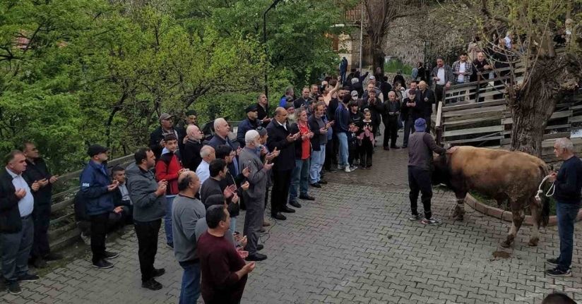 Geçmişten günümüze: Kemaliye’de şükür kurbanı