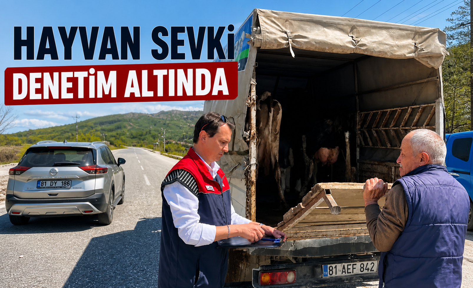 Hayvan Sevki Denetim Altında
