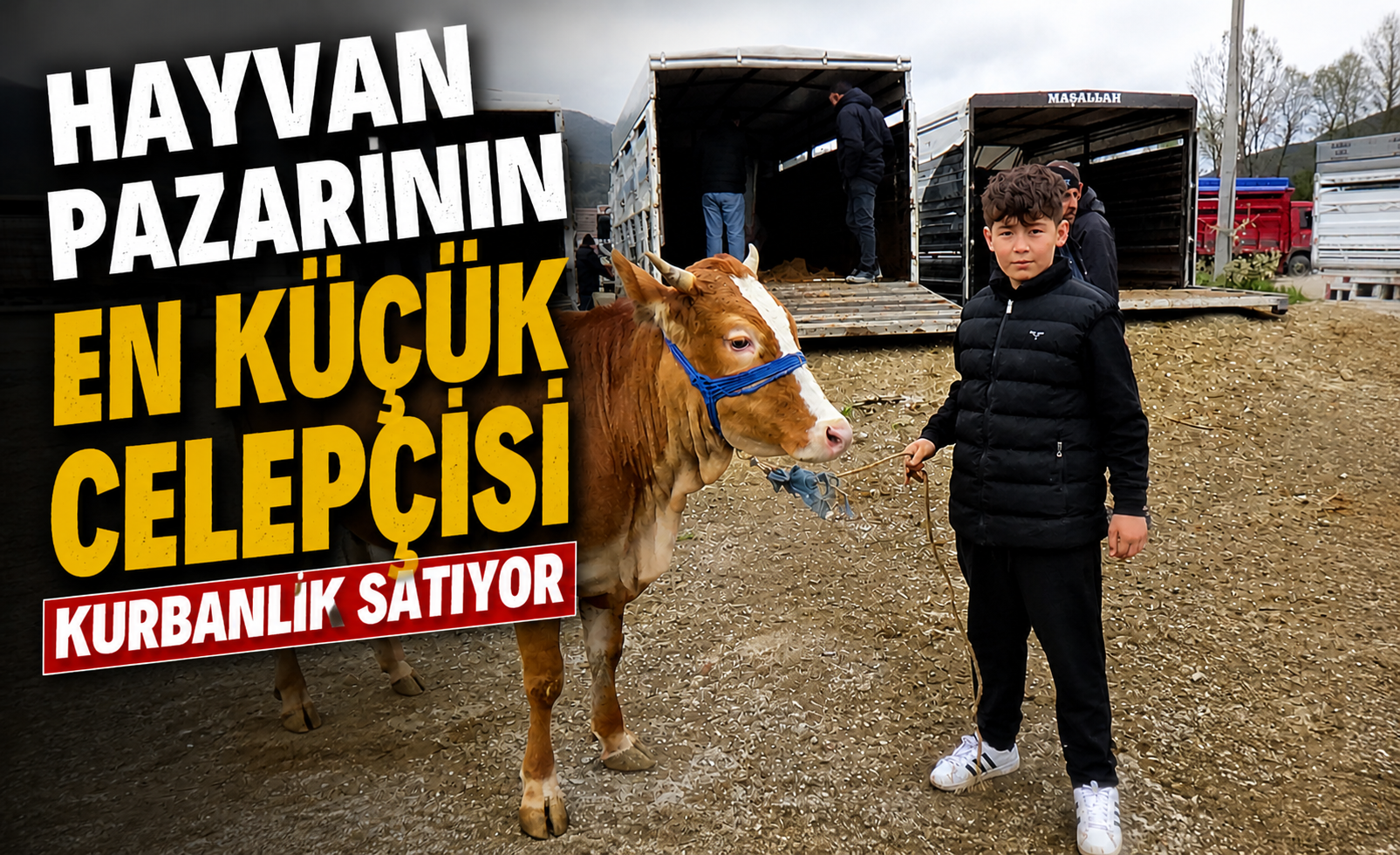Hayvan Pazarının En Küçük Celepçisi Kurbanlık Satıyor