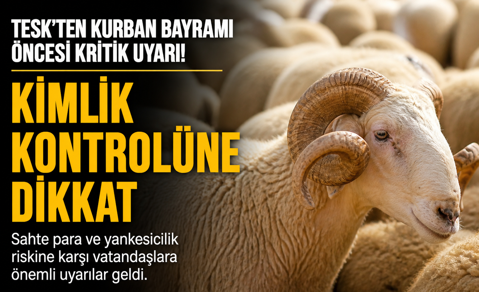TESK’ten Kurban Bayramı Öncesi Uyarı