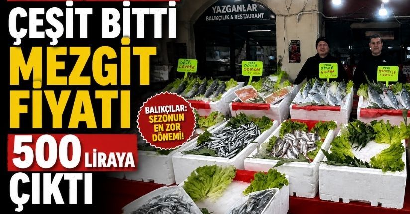 Alaplı balıkçı tezgahlarında çeşit bitti mezgit fiyatı 500 liraya çıktı