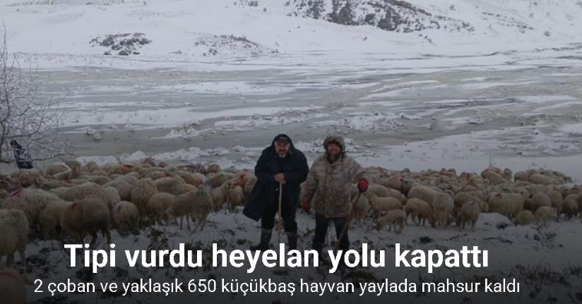 Tipi vurdu heyelan yolu kapattı, 2 çoban ve yaklaşık 650 küçükbaş hayvan yaylada mahsur kaldı