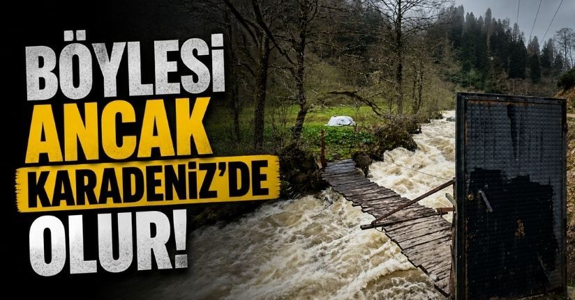 Böylesi ancak Karadeniz’de olur