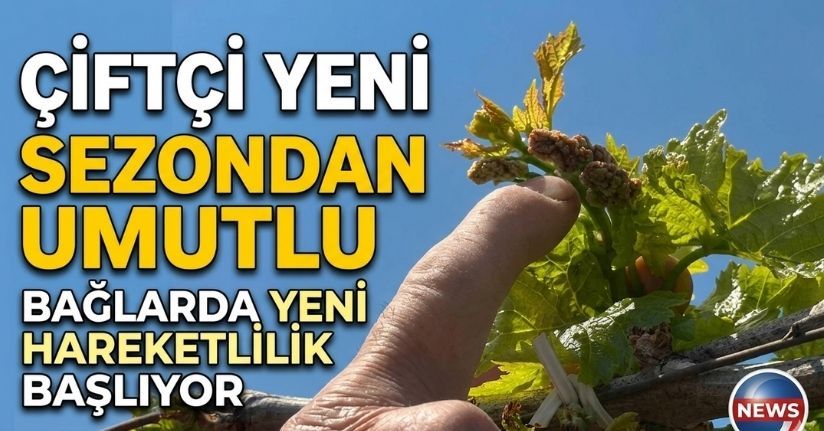 Çiftçi üzüm için yeni sezondan umutlu