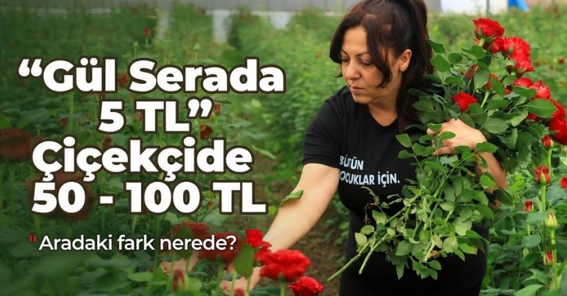 Gül serada 5, çiçekçide 50-100 lira