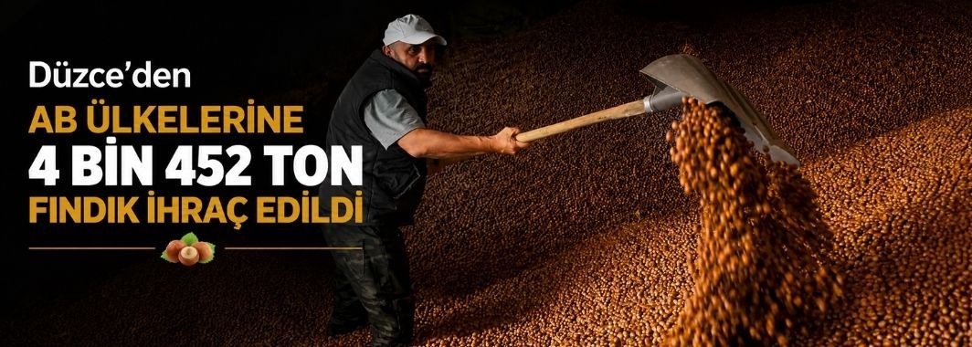 Düzce’den AB Ülkelerine 4 Bin 452 Ton Fındık İhraç Edildi