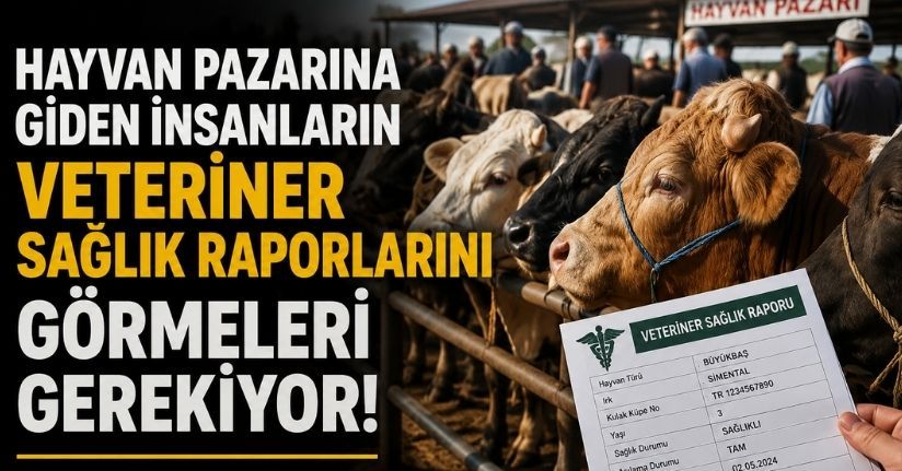 Hayvan pazarına giden insanların veteriner sağlık raporlarını görmeleri gerekiyor