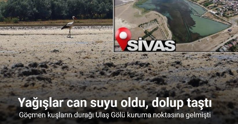 Göçmen kuşların durağı kuruma noktasına gelmişti, şimdi ise dolup taştı