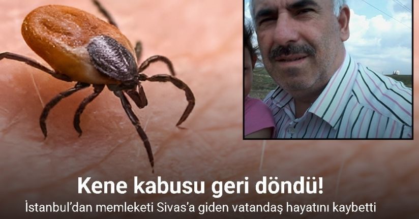İstanbul’dan memleketine gitti, kene nedeniyle hayatını kaybetti