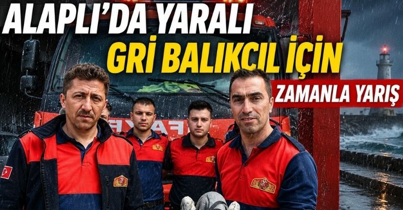 Alaplı’da yaralı gri balıkçıl için zamanla yarış