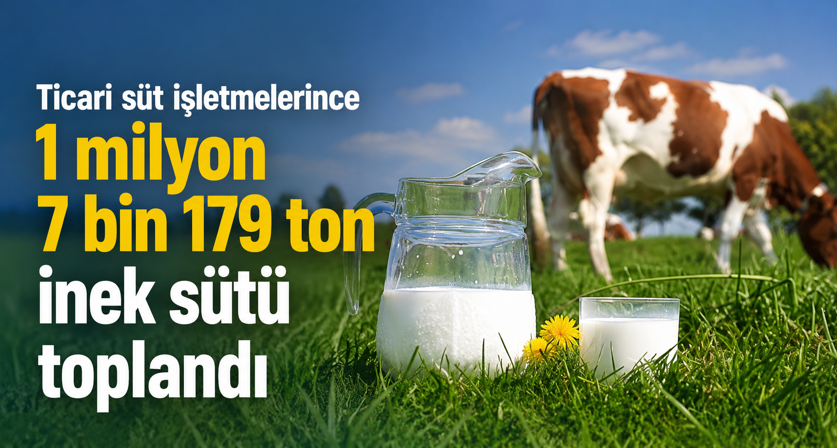 Ticari süt işletmelerince 1 milyon 7 bin 179 ton inek sütü toplandı