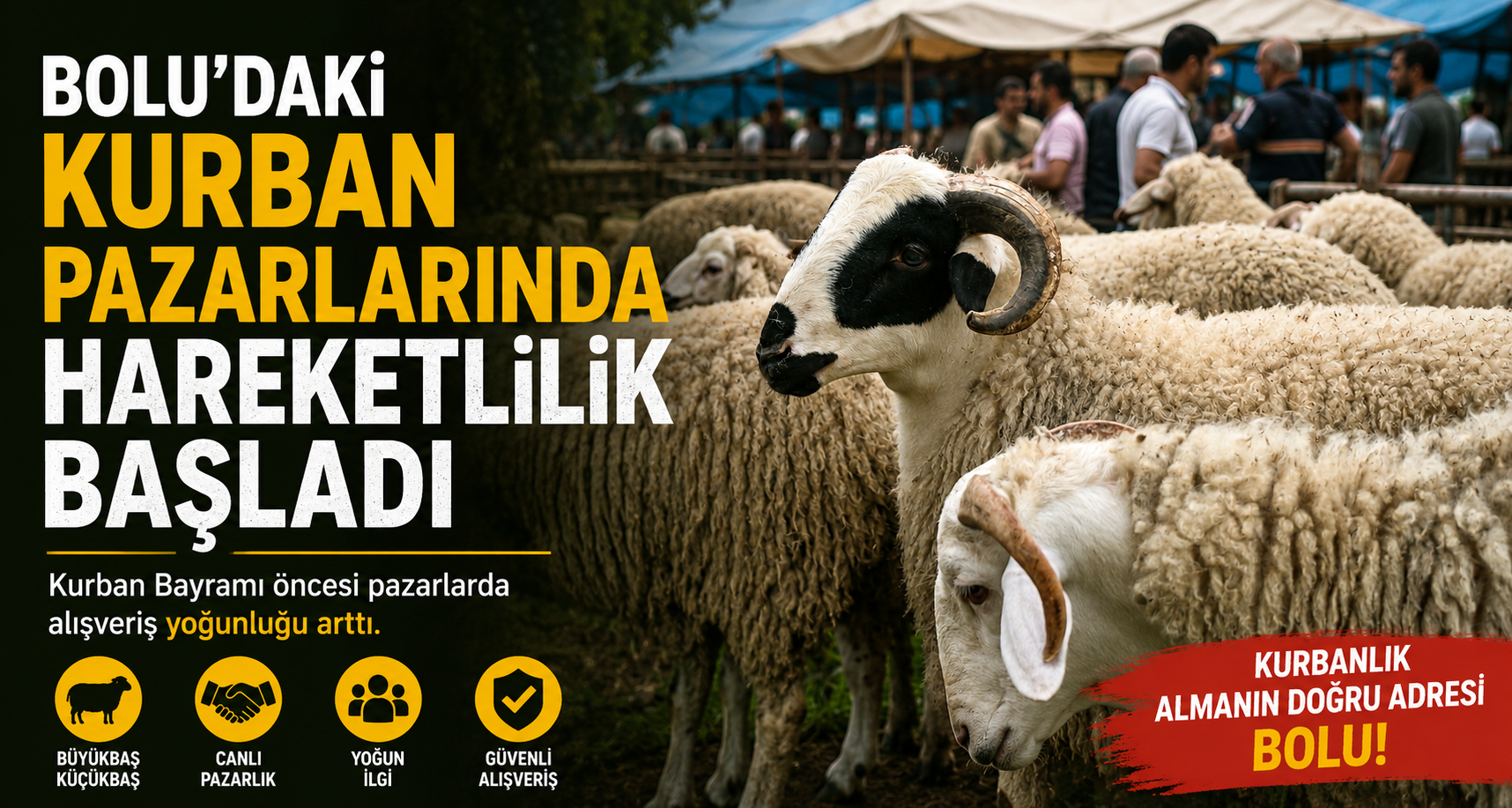 Bolu'daki kurban pazarlarında hareketlilik başladı