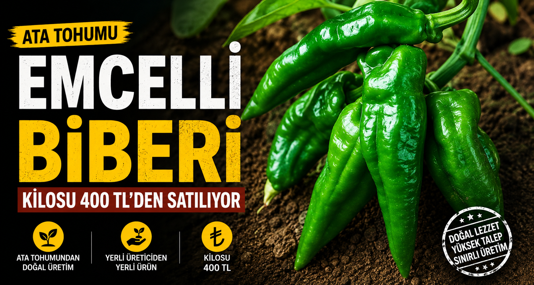 Ata tohumu Emcelli Biberi kilosu 400 TL’den satılıyor