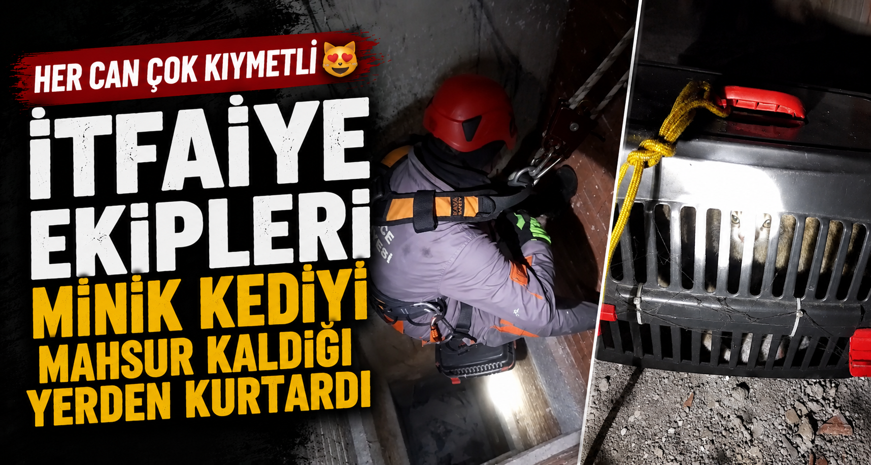Mahsur Kalan Kedi Sağ Salim Kurtarıldı