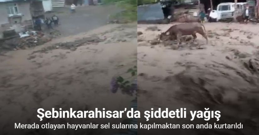 Şebinkarahisar’da şiddetli yağış