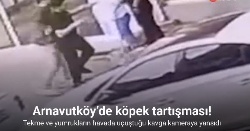 Arnavutköy’de köpek tartışması yumruklu kavgaya dönüştü