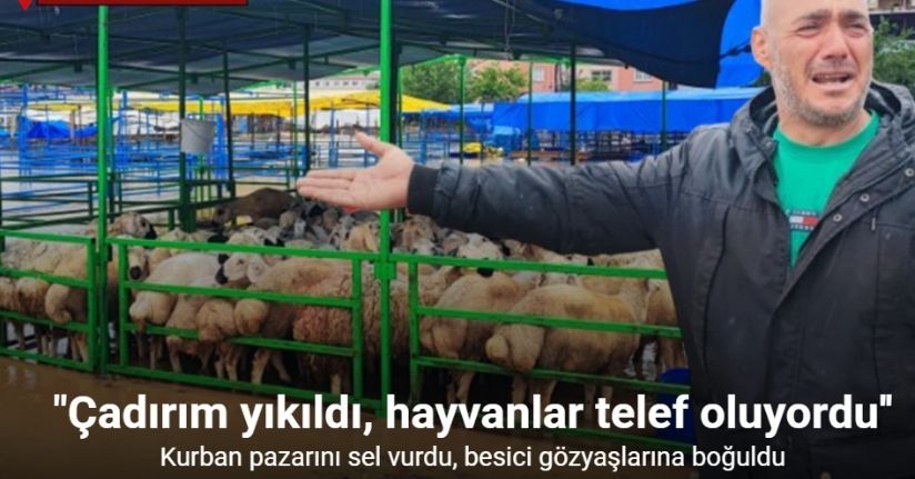 Adana’da kurban pazarını sel vurdu, besici gözyaşlarına boğuldu