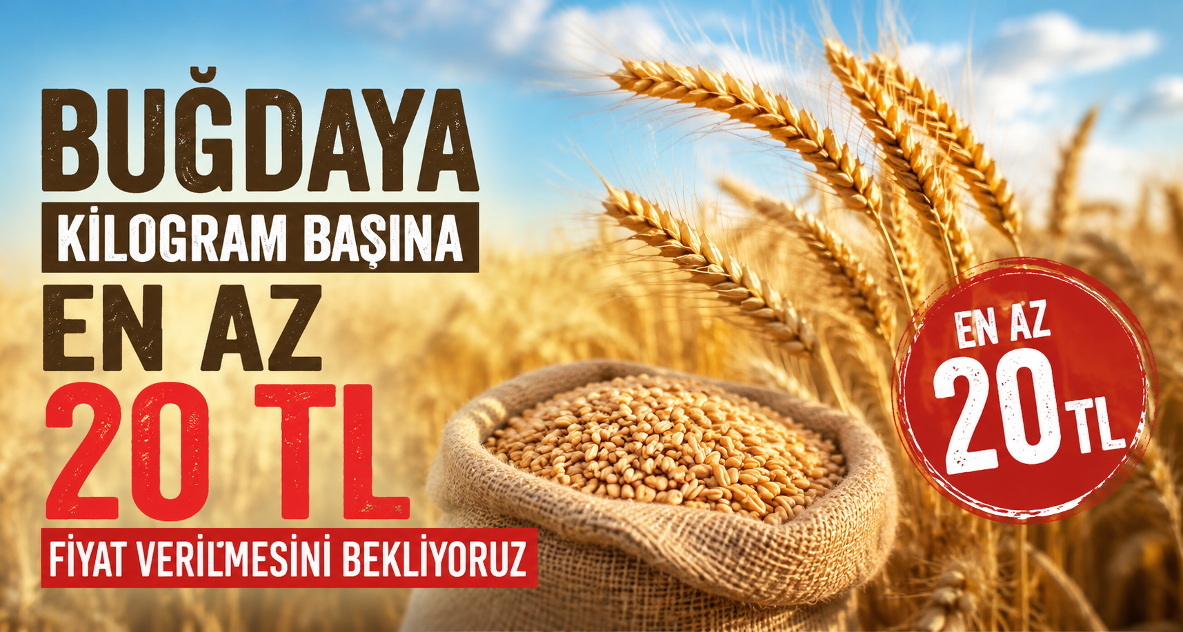 Buğdaya kilogram başına en az 20 TL fiyat verilmesini bekliyoruz