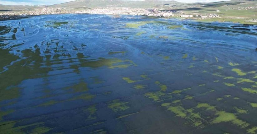 Sular altında kalan Ardahan Ovası havadan görüntülendi