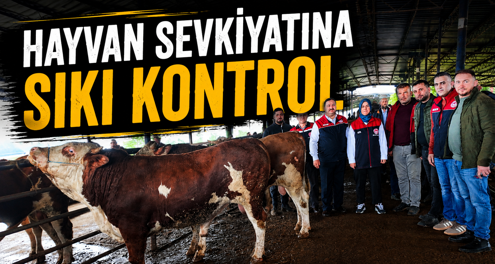 Hayvan Sevkiyatına Sıkı Kontrol