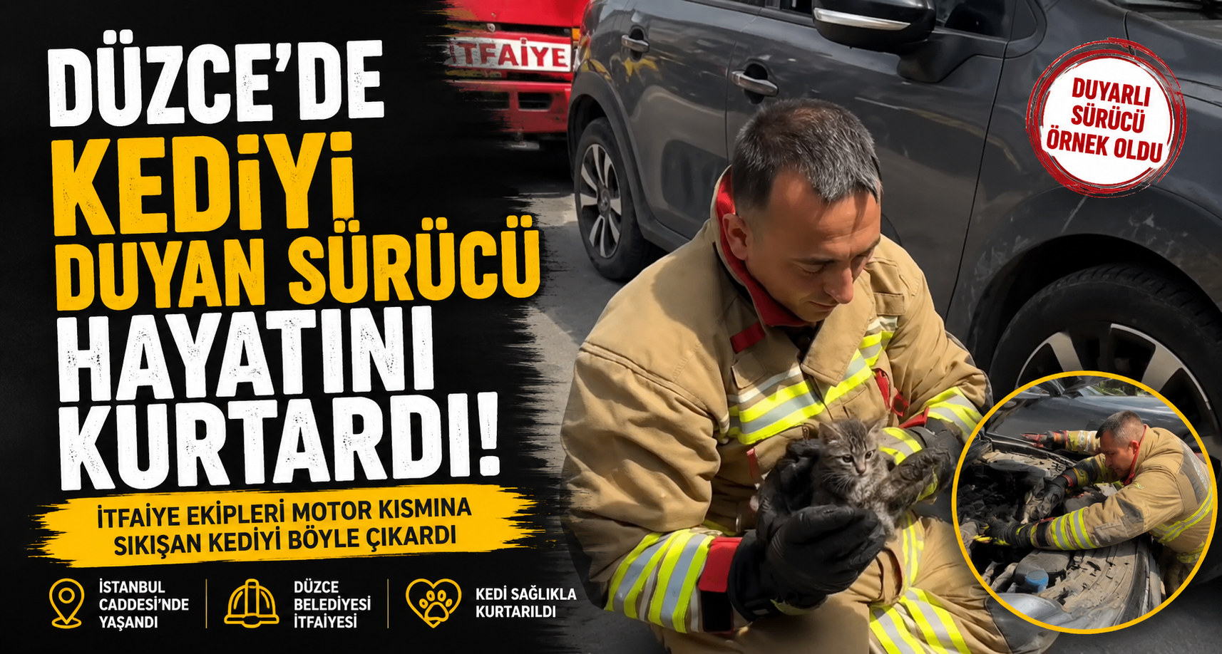 İstanbul Caddesi’nde Kedi Kurtarma Operasyonu