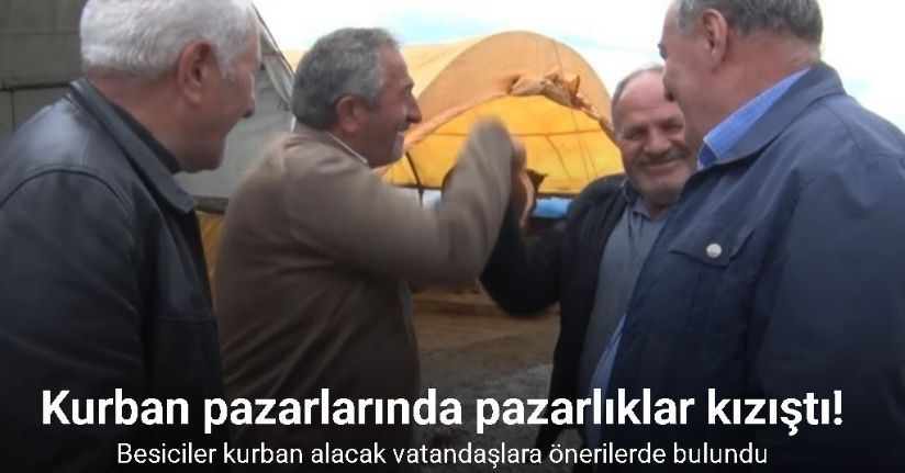 Kurban pazarlarında pazarlıklar kızıştı