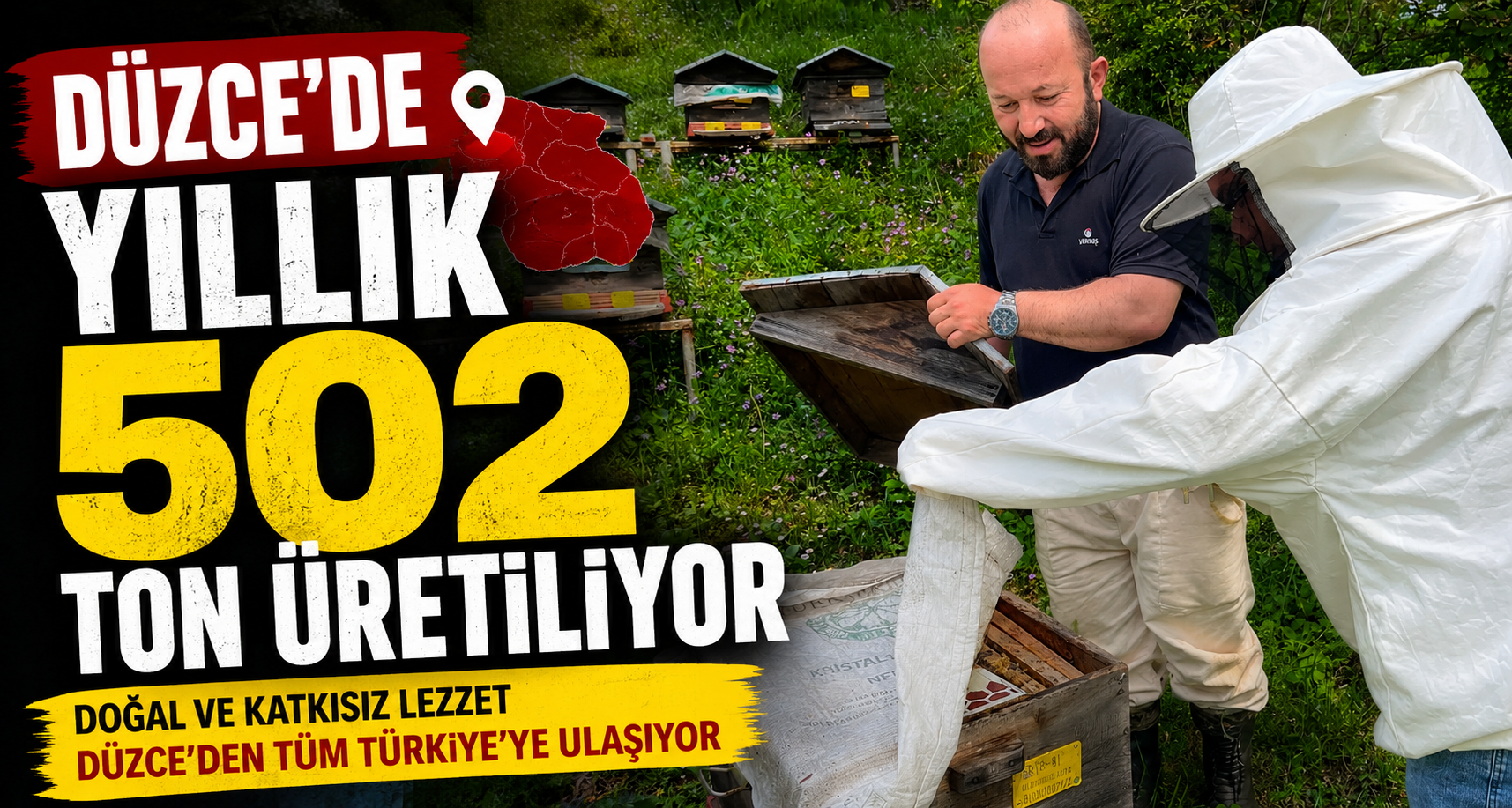 Düzce’de Yıllık 502 Ton Üretiliyor
