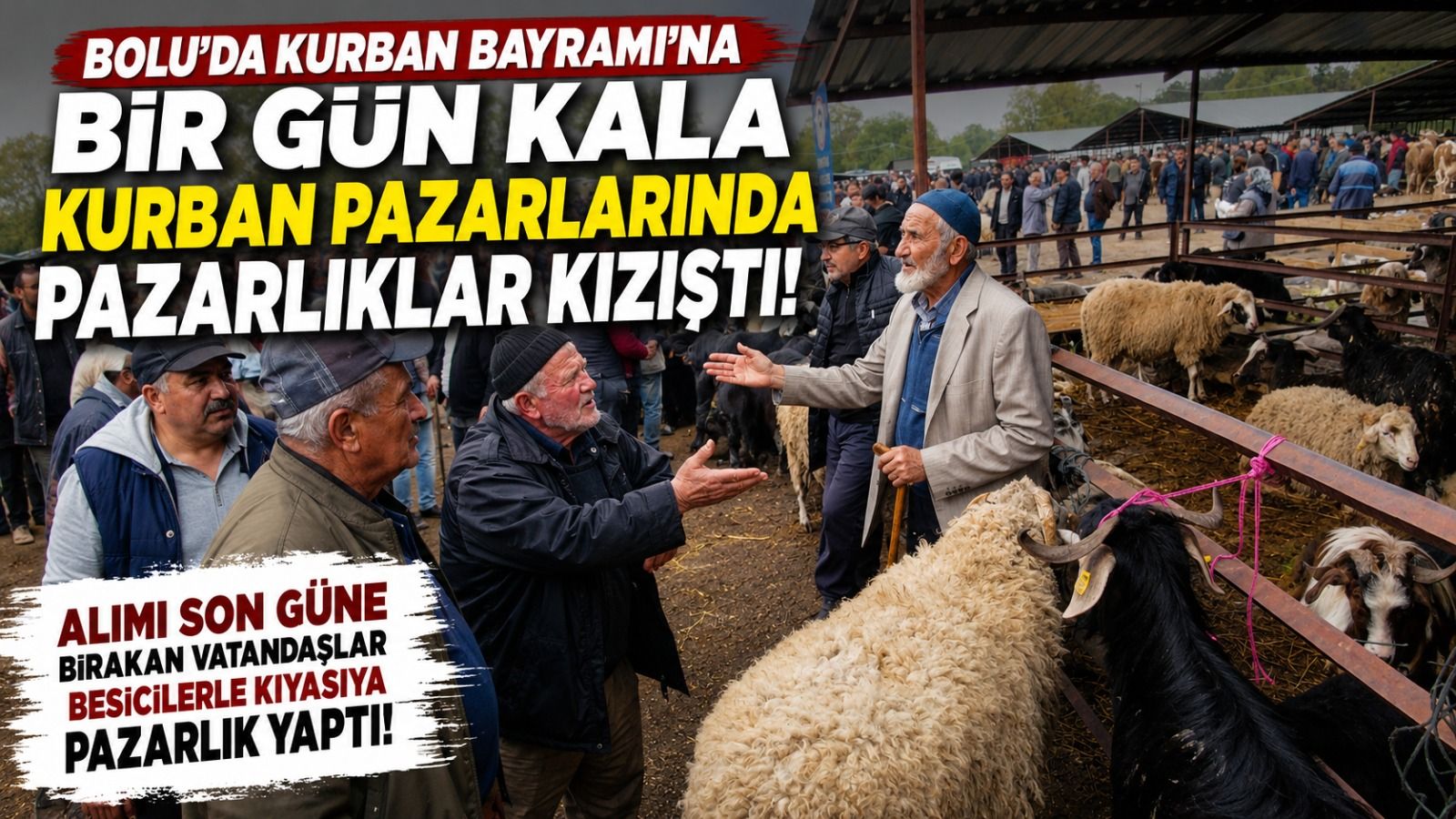 Kurban Bayramı'na saatler kala kurban pazarında pazarlıklar kızıştı