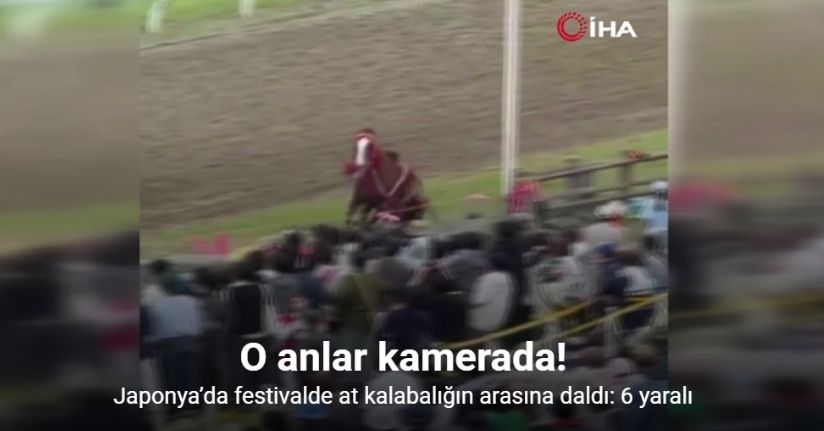 Japonya’da festivalde at kalabalığın arasına daldı: 6 yaralı