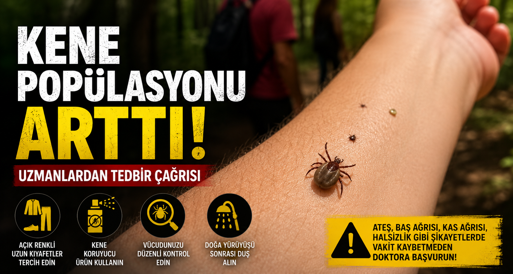 Kene popülasyonu arttı, uzmanlar tedbir çağrısı yaptı