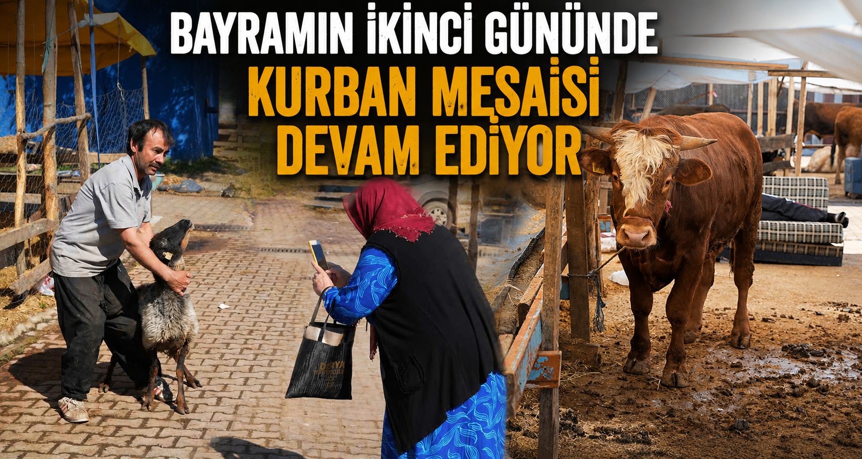 Bayramın İkinci Gününde Kurban Mesaisi Devam Ediyor