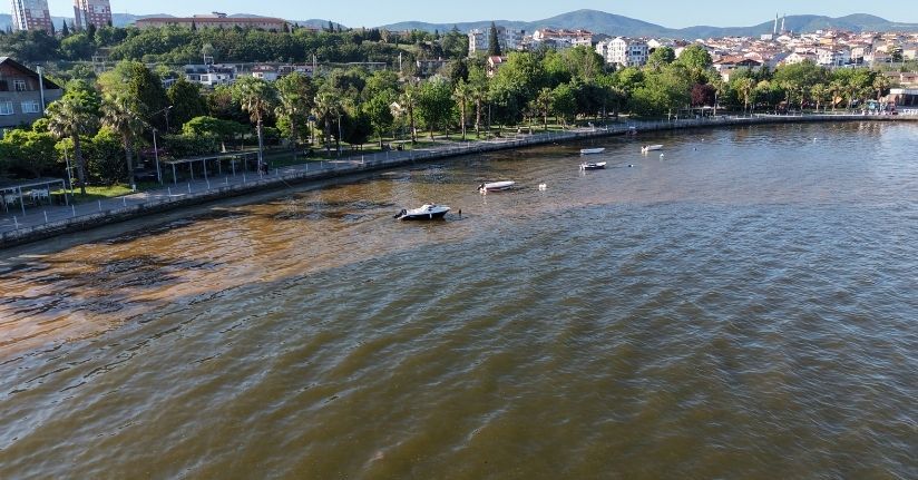 İzmit Körfezi’nde denizin rengi kahverengine döndü