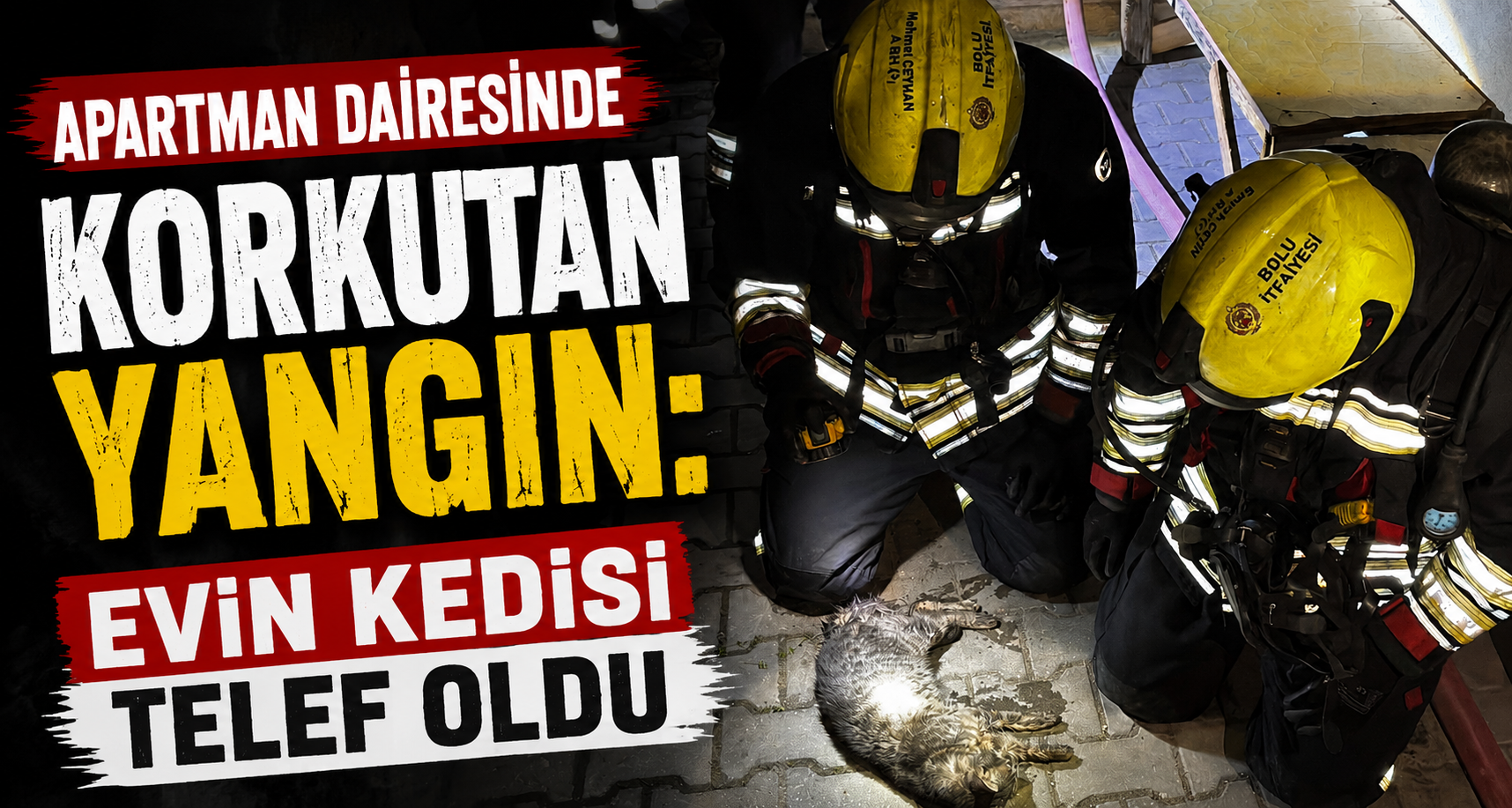 Apartman Dairesinde Korkutan Yangın: Evin Kedisi Telef Oldu