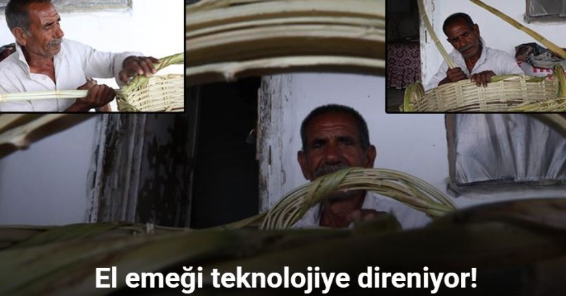 Plastik çıktı, Romanların 100 yıllık sepet geleneği yok olmaya başladı