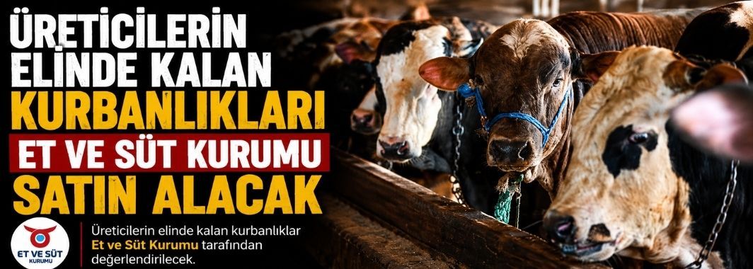 Üreticilerin Elinde Kalan Kurbanlıkları Et Ve Süt Kurumu Satın Alacak