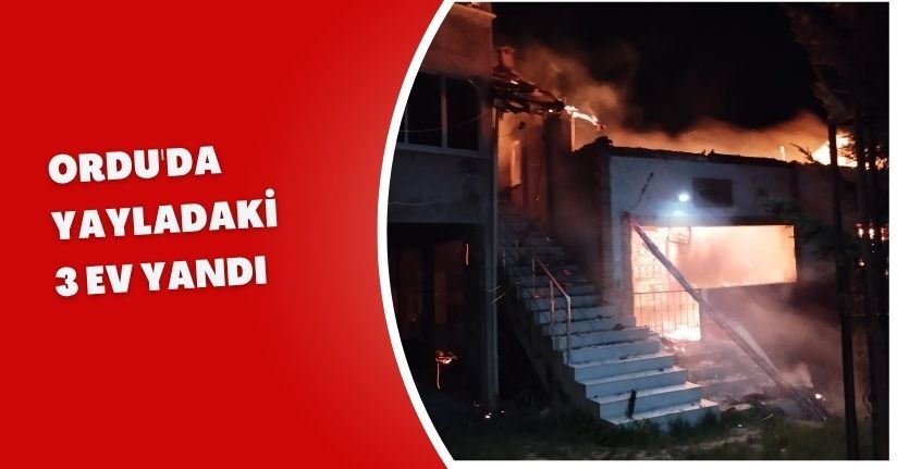 Ordu'da yayladaki 3 ev yandı