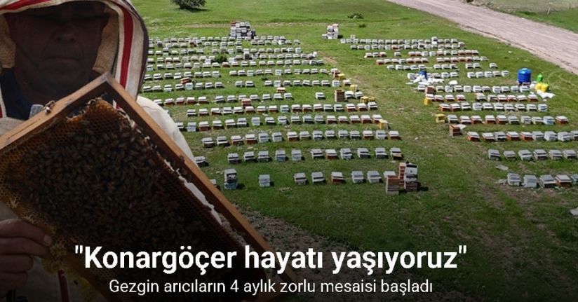 Gezgin arıcıların 4 aylık zorlu mesaisi başladı