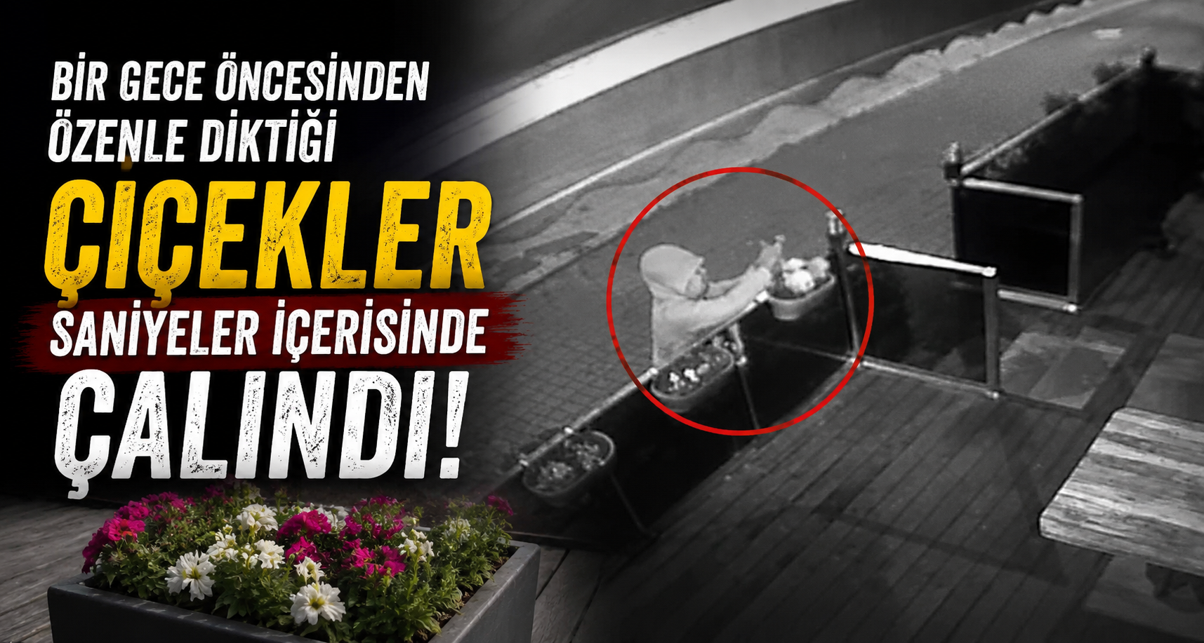 Bir gece öncesinden özenle diktiği çiçekler saniyeler içerisinde çalındı