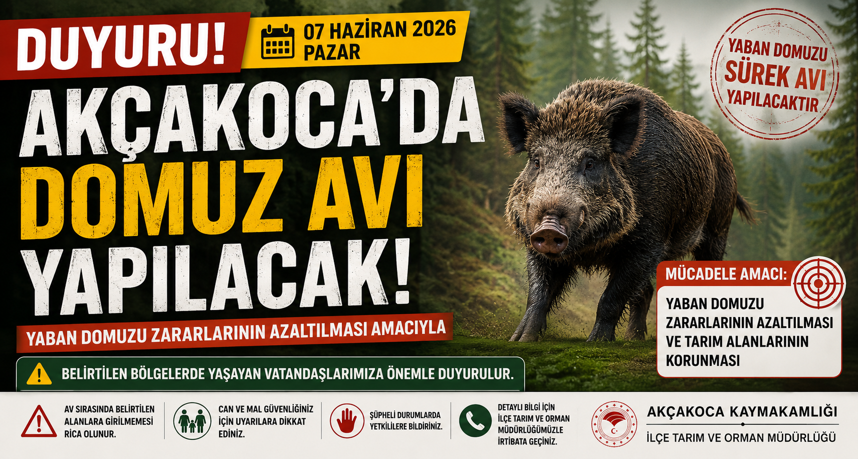 Akçakoca'da Domuz Avı Yapılacak