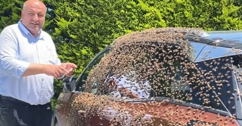 Şehir merkezinde otomobili arılar sardı