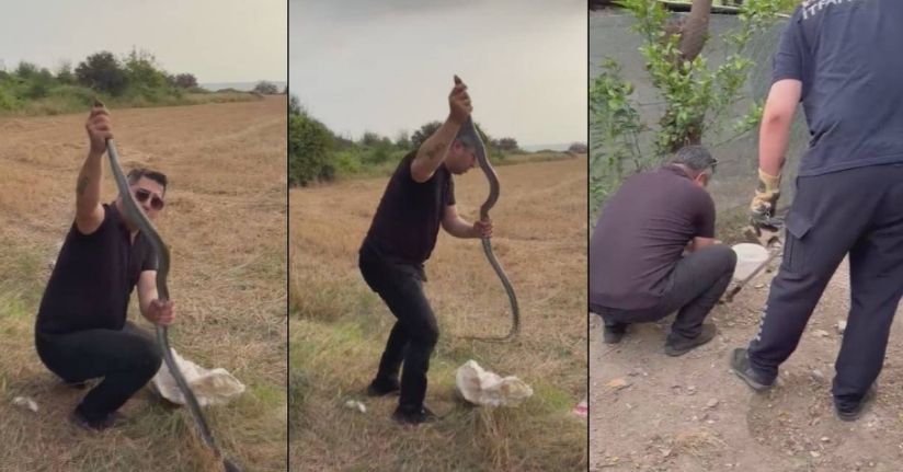 Kümese giren 2 metrelik yılanı yakalarken elinden ısırıldı