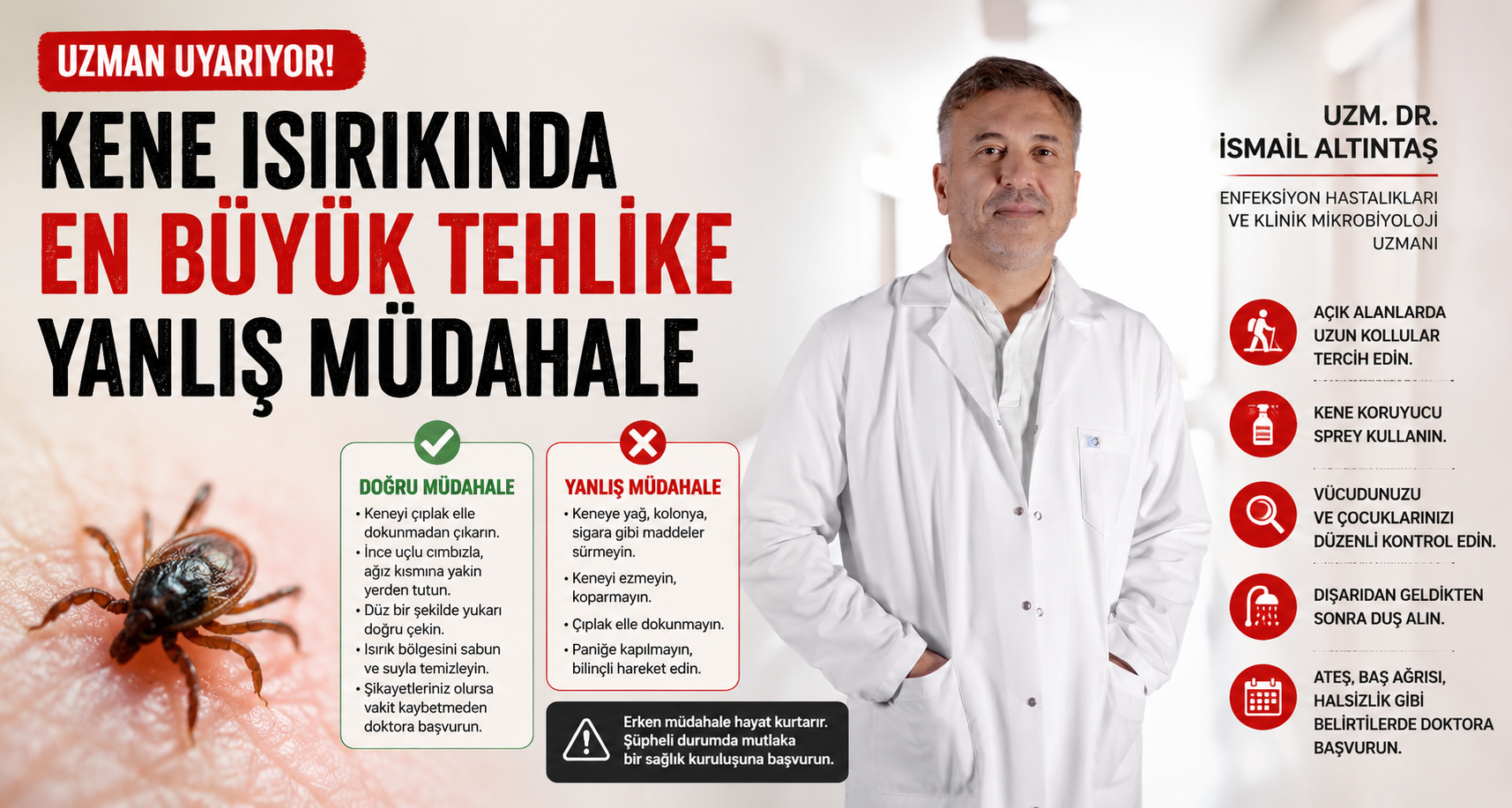 Kene ısırığında en büyük tehlike yanlış müdahale