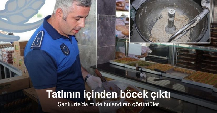 Şanlıurfa’da mide bulandıran görüntüler
