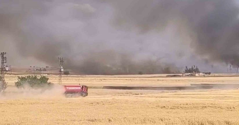 Harran’da yüzlerce dönümlük ekili arazi yandı