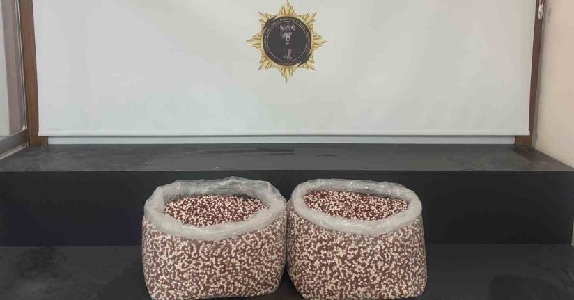 Tırın yatak bölümünde 129 bin 500 uyuşturucu hap ele geçti